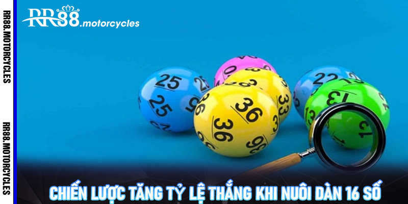 Chiến lược tăng tỷ lệ thắng khi nuôi dàn 16 số