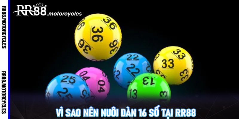 Vì sao nên nuôi dàn 16 số tại RR88