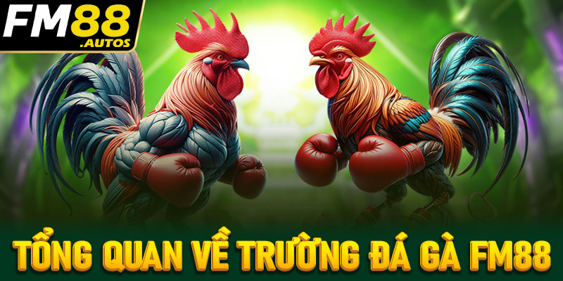 Tổng quan về trường đá gà Fm88