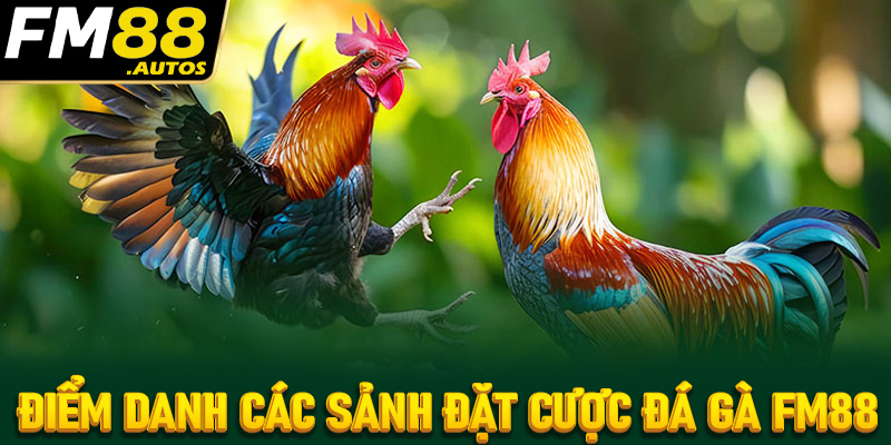 Các sảnh cá cược đá gà fm88 kịch tính nhất hiện nay trên thị trường Việt Nam